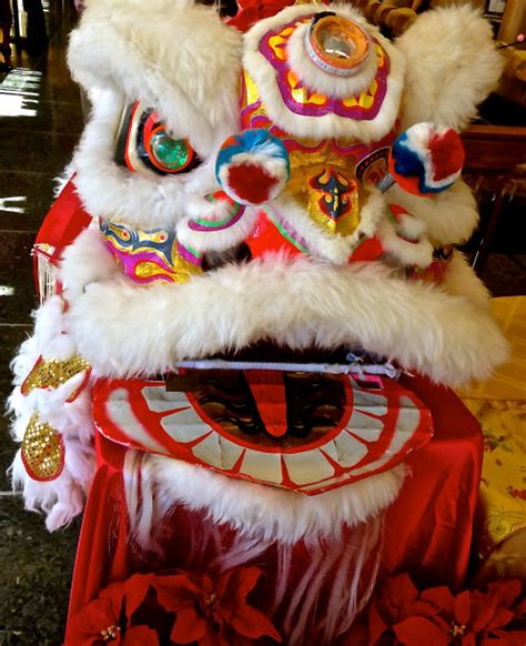 舞狮服装,狮王,狮子舞蹈,龙,中国功夫,狮子,新年,春节,舞蹈,舞者摄影素材,汇图网www.huitu.com