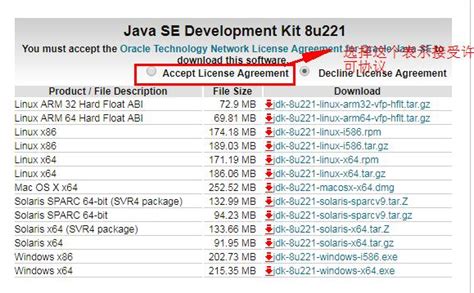 【java】 jdk的安装与配置（Windows） 验证安装成功_减减子的博客-CSDN博客