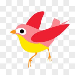 北美红鸟,自然,弗吉尼亚红鸟,野生动物,无人,绘画插图,剪贴画,鸟类,时尚,野外动物设计模板,汇图网www.huitu.com