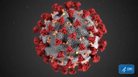 Science：包括新冠、流感、麻疹病毒在内的多数呼吸道病毒通过气溶胶传播_特别专题_疾控专题_科普专题_甘肃大众科普网