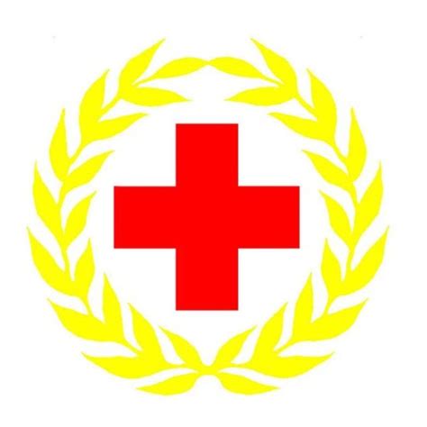 省红十字会第五届红十字应急救护大赛圆满结束 - 湖北省红十字会官网