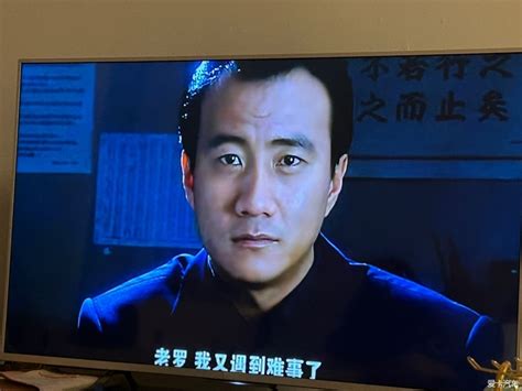 胡军最新主演的电视剧_胡军柯蓝主演的电视剧 - 随意云