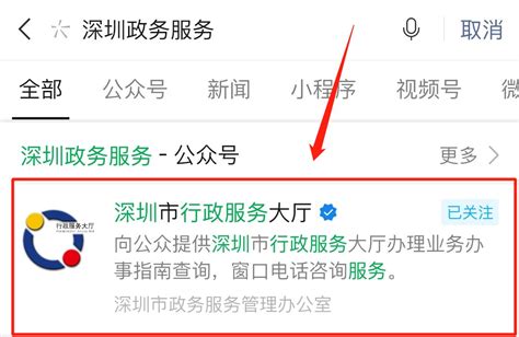深圳政务服务平台有哪些（官网+公众号）- 本地宝