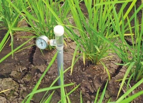 河北：把发展节水农业作为主攻方向 分类推进高效节水灌溉