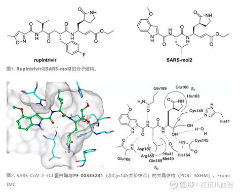 辉瑞的新冠口服药物PAXLOVID-沉寂17年的分子焕新生 辉瑞 的新冠口服药物PAXLOVID™（核心成分为PF-07321332）展现了 ...