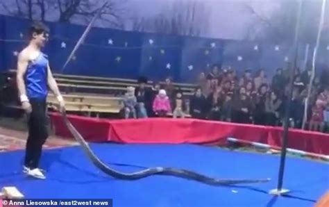 男子表演蟒蛇绕颈惨被勒死 观众还以为是表演