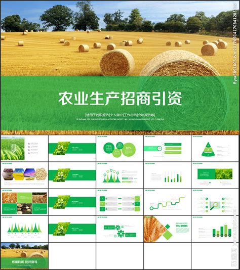 成都新津 ：加速农业转型升级打造万人农播基地_县域经济网