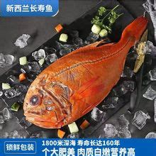 冰鲜多春鱼-广州鸿莹海食品有限公司