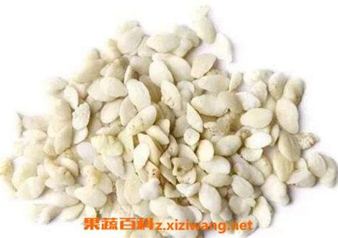鱼脑石图片