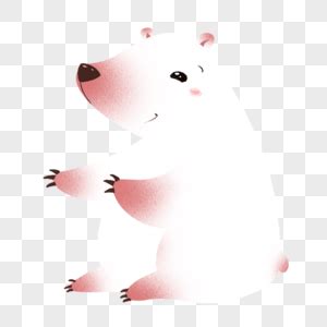 大白熊图片