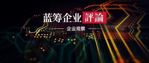 壹网壹创IPO专题-中国上市公司网
