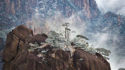 黄山，让人回味无穷的梦中世界，难道不值得游览吗？|黄山|黟山|青黑_新浪新闻