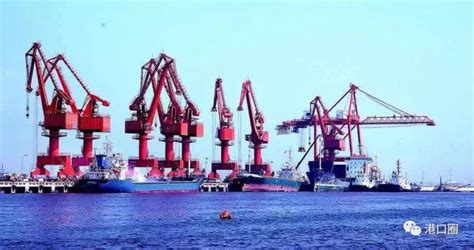 时间为证：讲述丹东港的2020-港口网