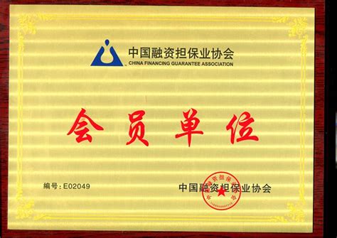 会员单位 - 安庆市金融控股集团有限公司-安庆市融资担保（集团）有限公司