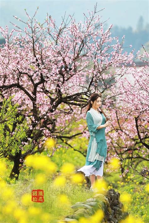 2023宝泉山地郁金香踏青赏花节将于3月1日浪漫来袭 - 河南省文化和旅游厅