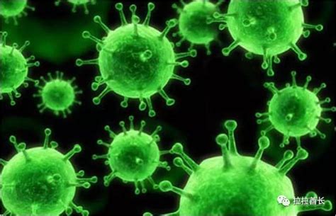 新冠病毒会“污染”人类基因组？美国院士研究再引热议 - 知乎
