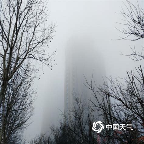 山东烟台大雾弥漫-图片-中国天气网