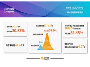 苏宁易购2018年业绩快报：营业收入突破2453亿元，同比增长30.53% - 热点科技 - ITheat.com
