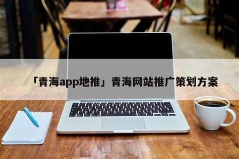 「青海app地推」青海网站推广策划方案 - 首码网