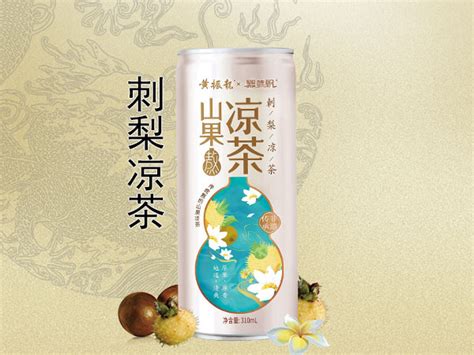 产品介绍-广州黄振龙凉茶有限公司