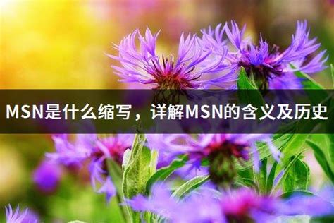 MSN是什么缩写，详解MSN的含义及历史 - 零八资讯网