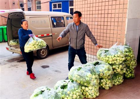 广东肇庆：致力打造高标准蔬菜产业园