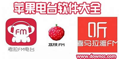 app-中文app开发软件-APP开发软件哪个好.txt - 哇谷IM即时通讯