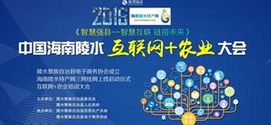 陵水举办首届“互联网＋”产业宣传与创新大会_县域经济网