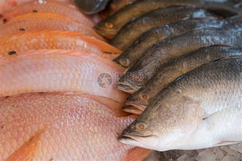 新鲜的冰鲜鱼在集市上出售高清图片下载-正版图片503907019-摄图网
