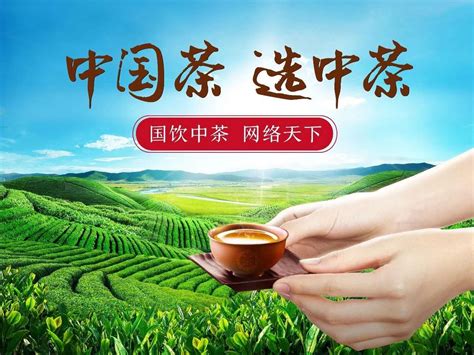 中茶网络科技_中茶公司