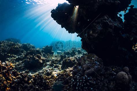 具有复制空间的平定水下场景热带透明海洋高清图片下载-正版图片506298592-摄图网