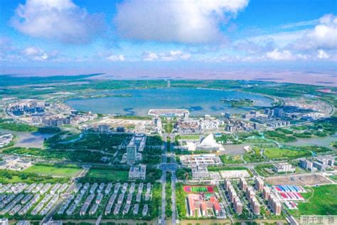 ennead | “荣耀之环” ：上海临港新片区滴水湖金融湾首发项目总体规划设计方案_空间_建筑_塔楼