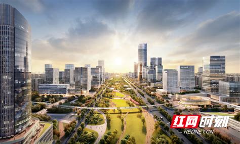 未来20年内，最有发展潜力的城市是哪些呢？|重庆|水患|长沙_新浪新闻