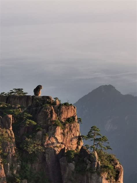 黄山自然风景区奇石猴子观海,山景区,旅游景点,摄影素材,汇图网www.huitu.com