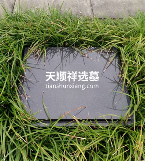 重庆宝山公墓|重庆宝山陵园【官方网站】园区电话：023-86228948