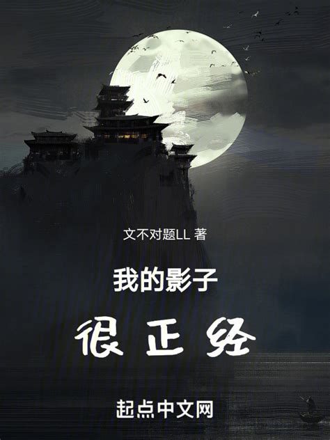 《我的影子很正经》小说在线阅读-起点中文网