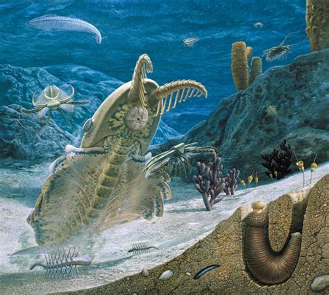 寒武纪的典型螯肢类、咬合力强大的袋鼠、177万年前的蛋白质组 | 古生物新闻 6 - 知乎