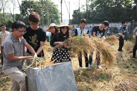 （图文）桂林理工大学博文管理学院学生自种菜地 把蔬菜当礼物送老师-- 广西校园动态--中国教育在线
