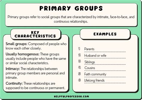 PPT - SOCIAL GROUPS PowerPoint Presentation, free download - ID:9000161