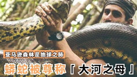大蟒蛇纪录片，森蚺奇境，近距离拍摄蟒蛇_腾讯视频