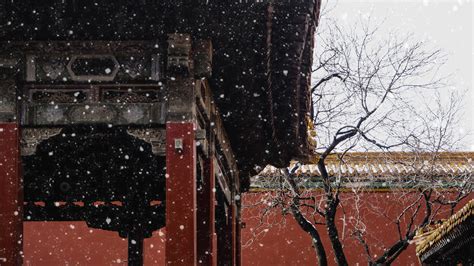 2021北京今冬第一场雪的具体时间 北京赏雪景的好去处_旅泊网
