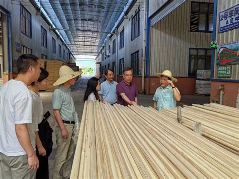 福建南平工业园区开展进出口木材贸易合作调研活动-木业网