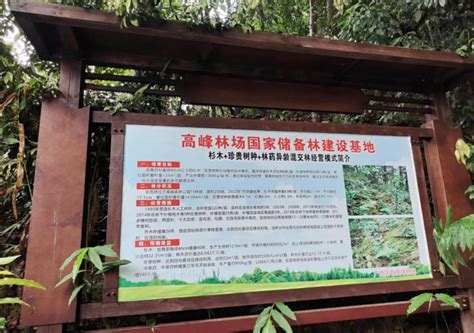 中国最后的完整森林 | 中国国家地理网