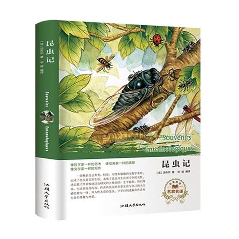 昆虫记海报,昆虫记图片大全,昆虫海报_大山谷图库