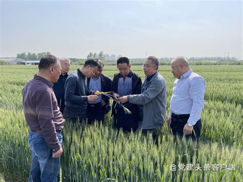 市农业农村技术推广中心迅速落实全省春季农业生产会议精神_滁州市农业农村局