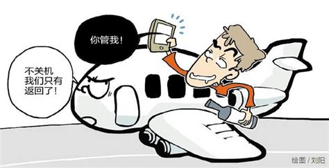 乘客飞机上不关手机还打人 致航班返航被行拘_首页社会_新闻中心_长江网_cjn.cn