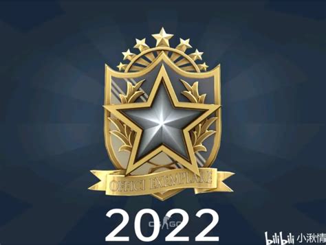 CSGO2022服役勋章外观介绍_2022服役勋章外观一览_3DM网游