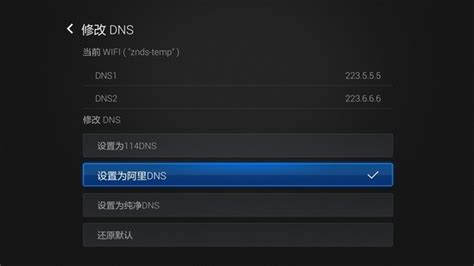 【DNS优选下载】DNS优选TV版_安卓电视版官方免费下载-ZOL智能应用
