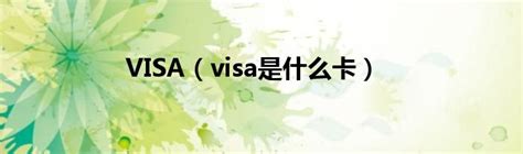 全球代购 / 代下单 / VISA国际信用卡付款