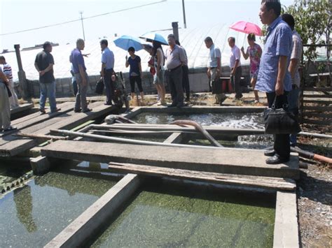 洪水侵袭涿州 养殖场80万斤鱼死亡-股城热点